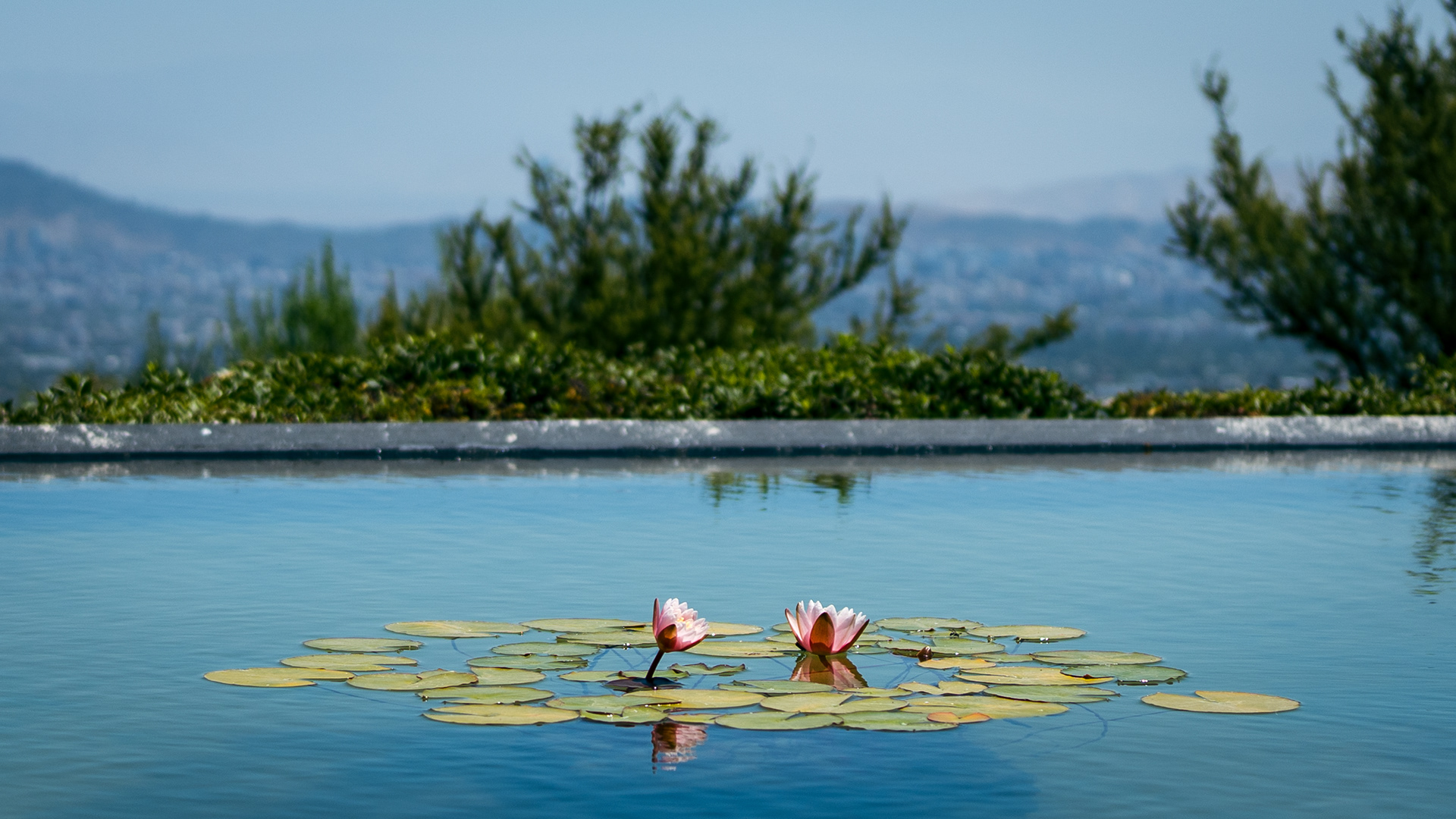 ISO 50 · f/2.5 · 1/4000s · 40mm · Sony ILCE-7M2
