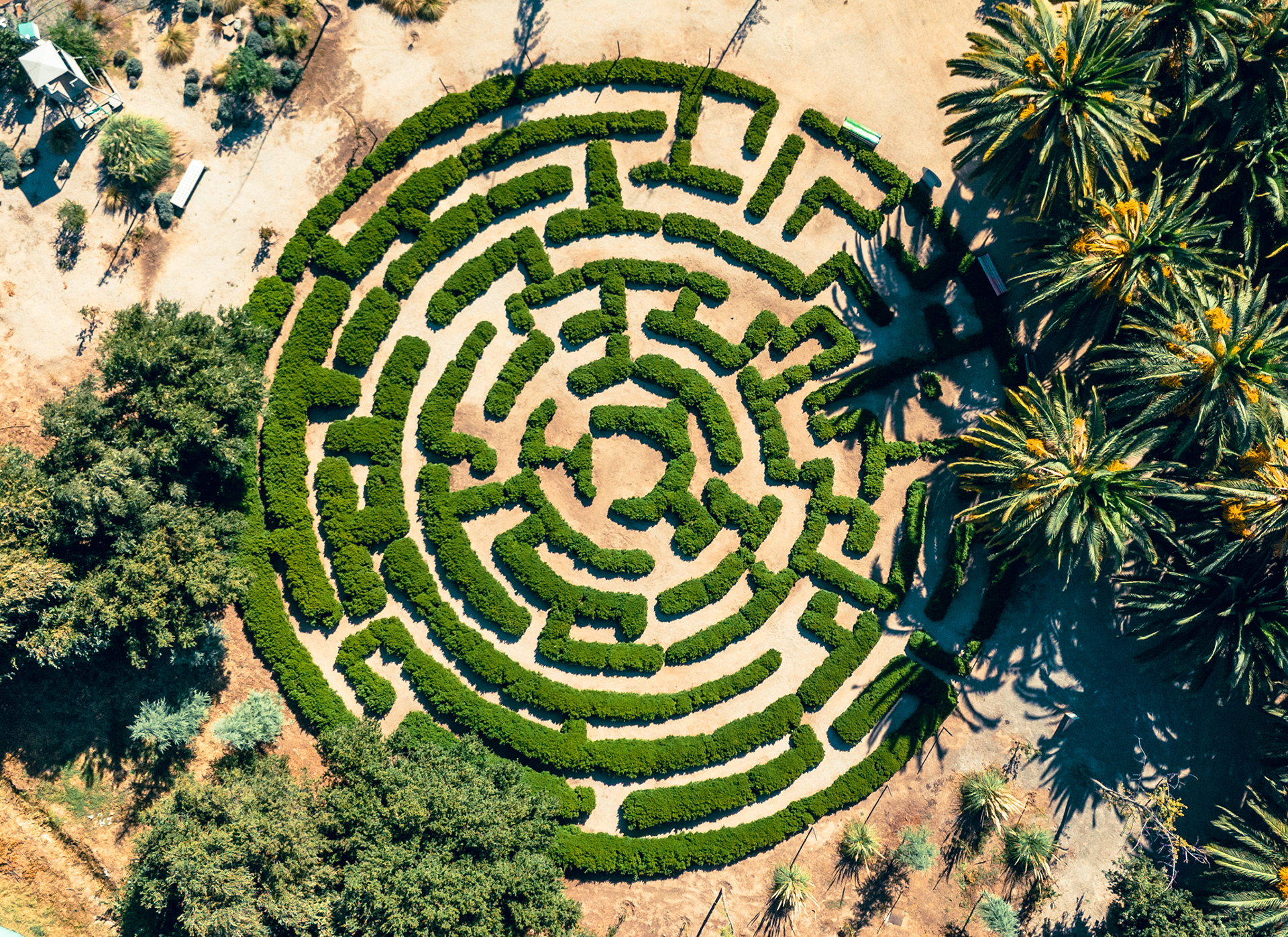 ISO 100 · f/1.7 · 1/3200s · 7mm · DJI Flip (FC8582)