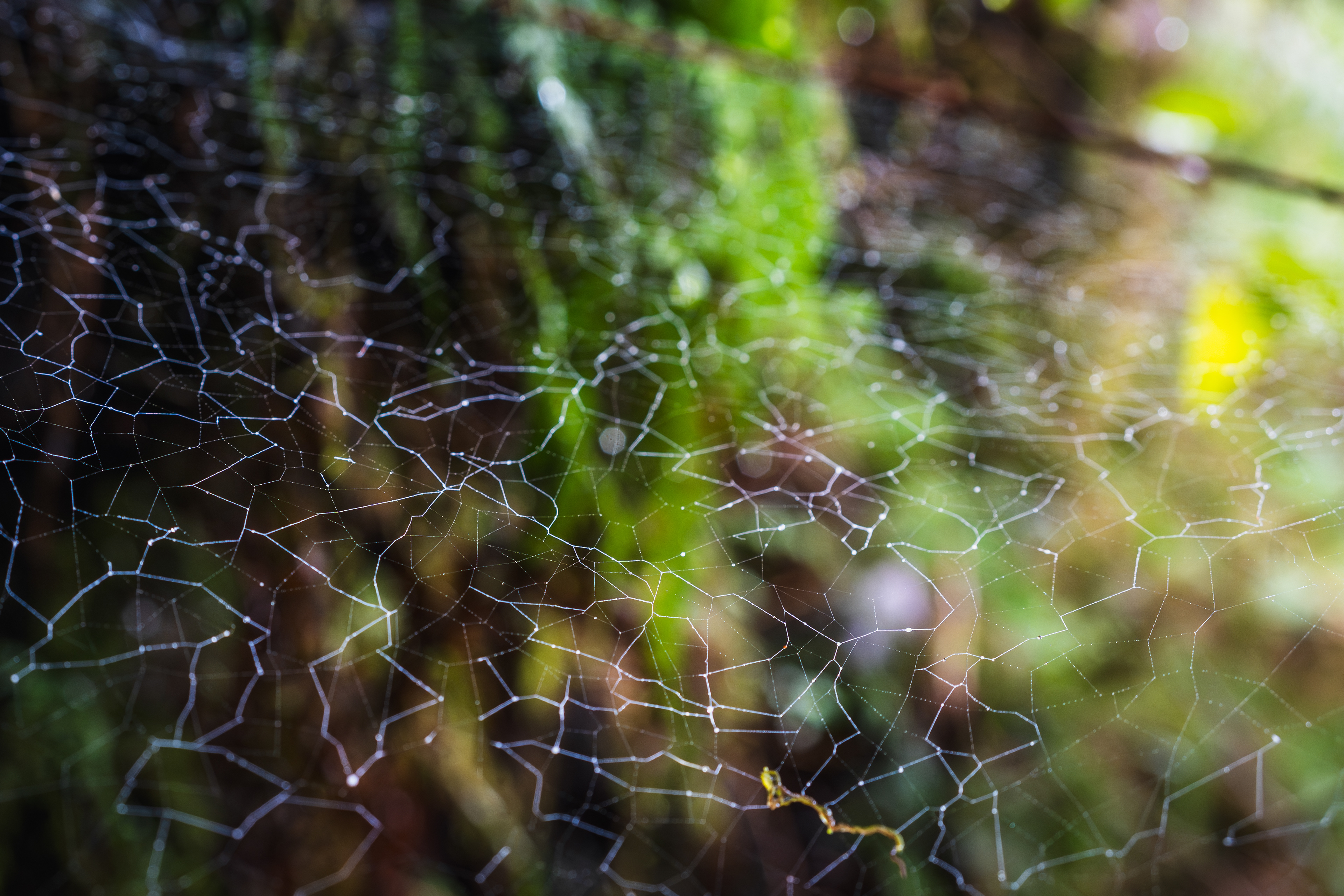 ISO 1600 · f/6.3 · 1/20 · 40mm · Sony ILCE-7M2