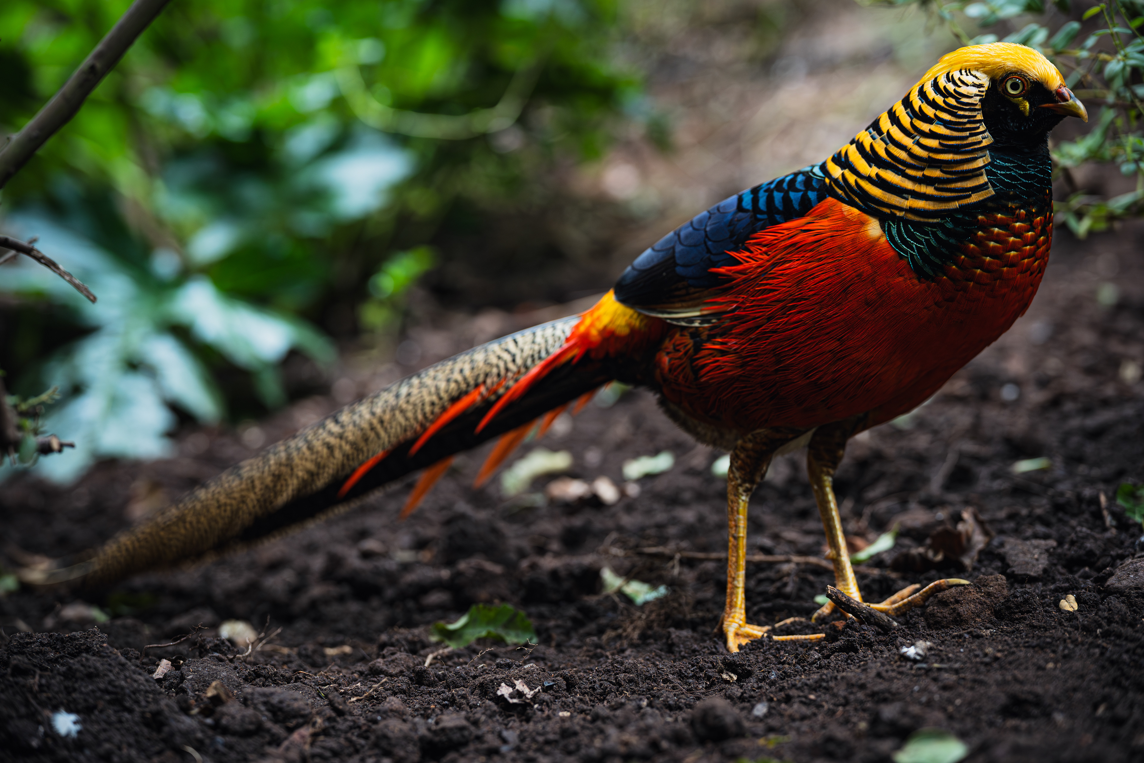 ISO 1250 · f/2.8 · 1/100 · 85mm · Sony ILCE-7M2