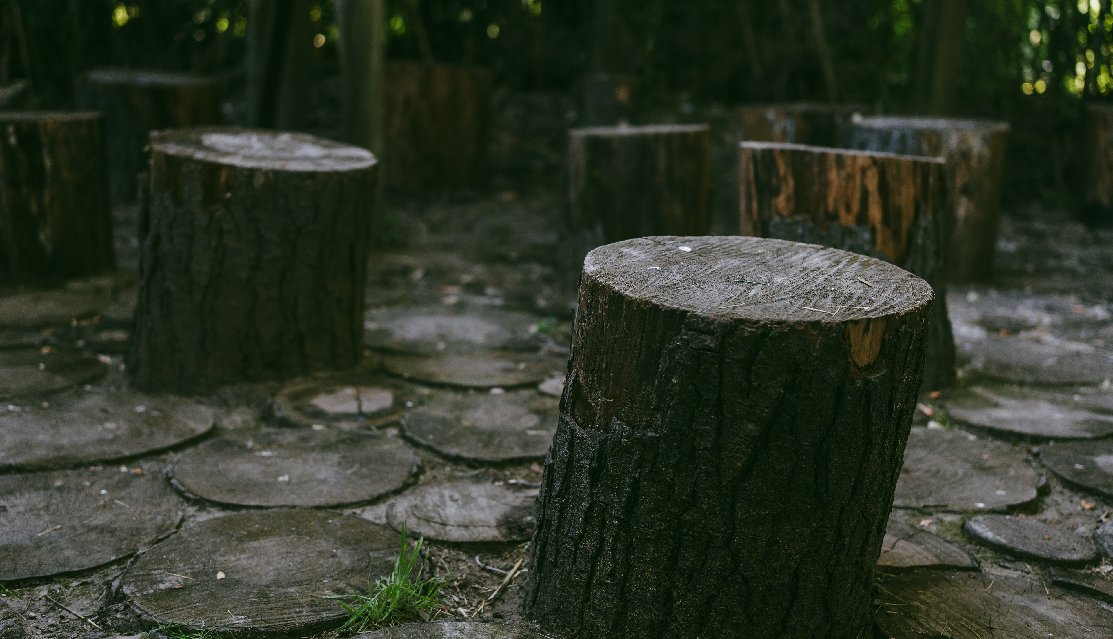 ISO 320 · f/2.8 · 1/200s · 40mm · Sony ILCE-7M2