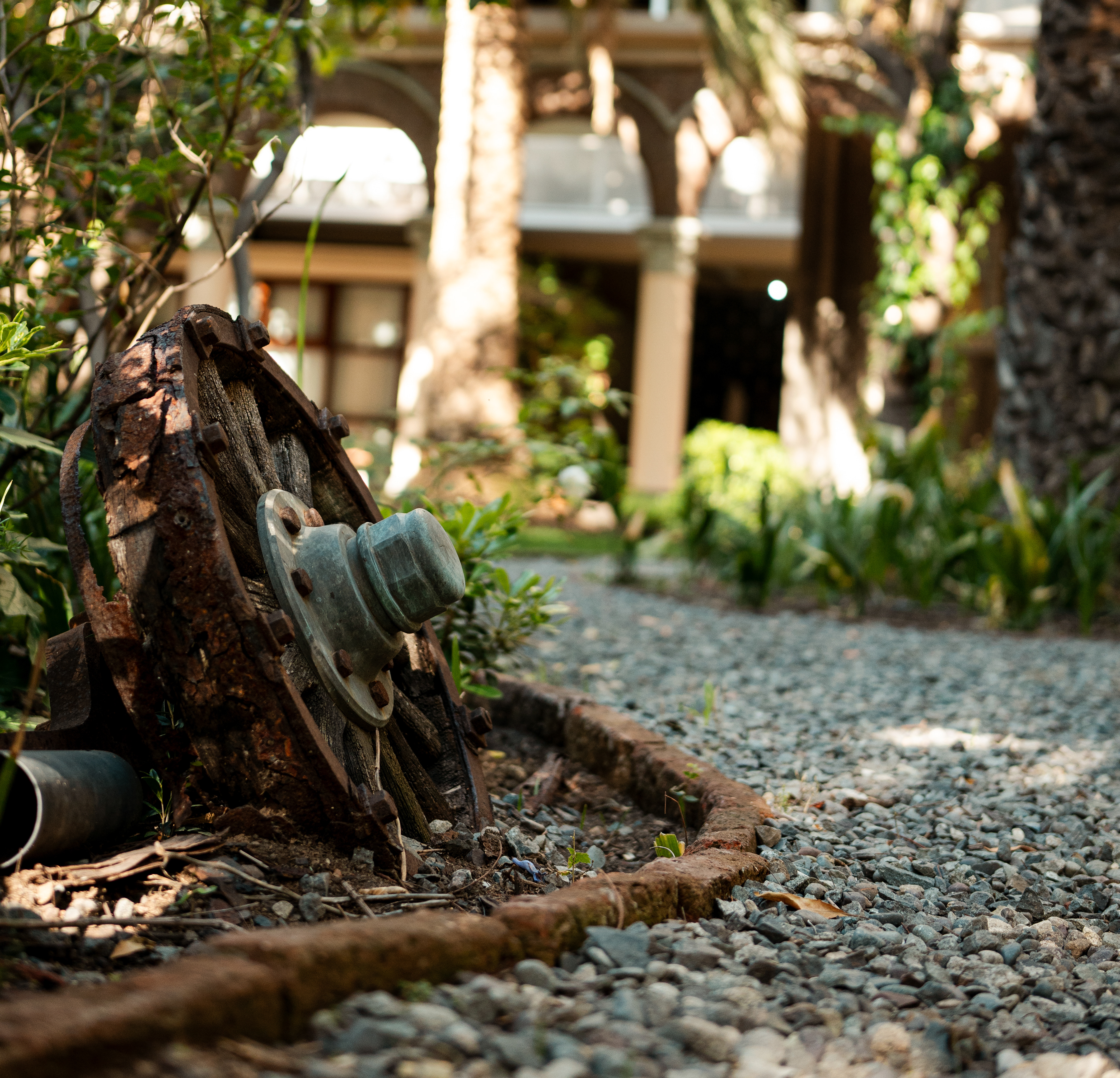 ISO 500 · f/2.5 · 1/500 · 40mm · Sony ILCE-7M2