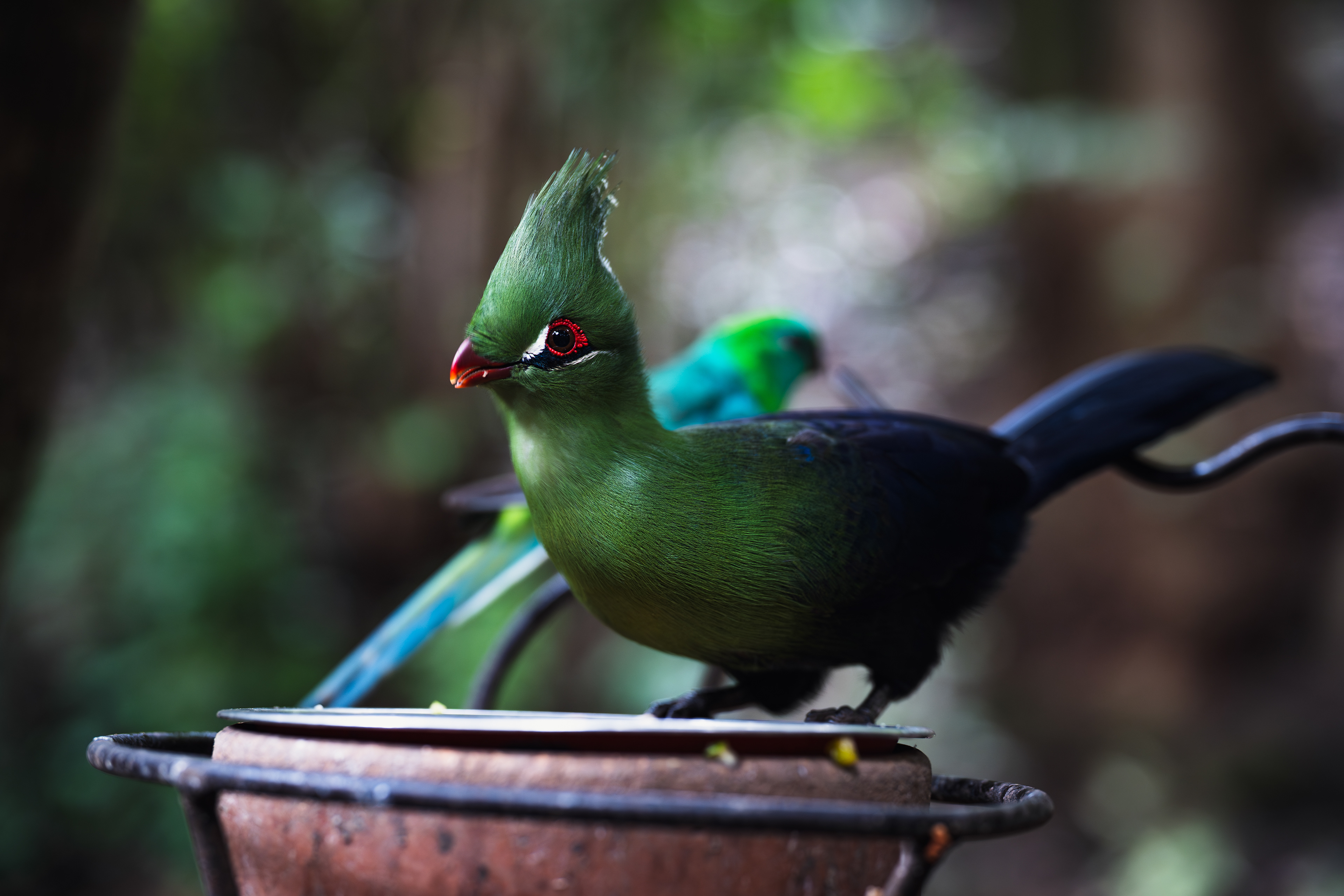 ISO 800 · f/2.8 · 1/30 · 85mm · Sony ILCE-7M2