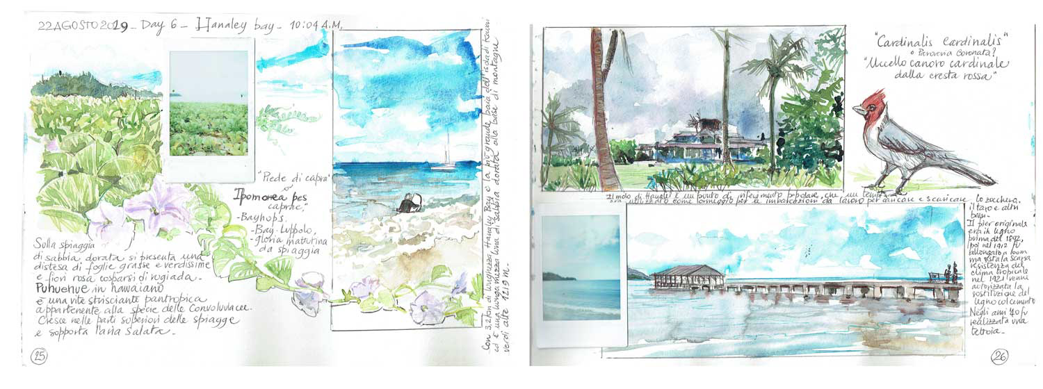 2019, Carnet "ALOHA, Baby": Hanaley Bay, Kauai Isle