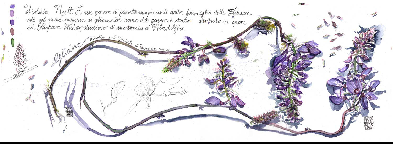 2022: Carnet botanico