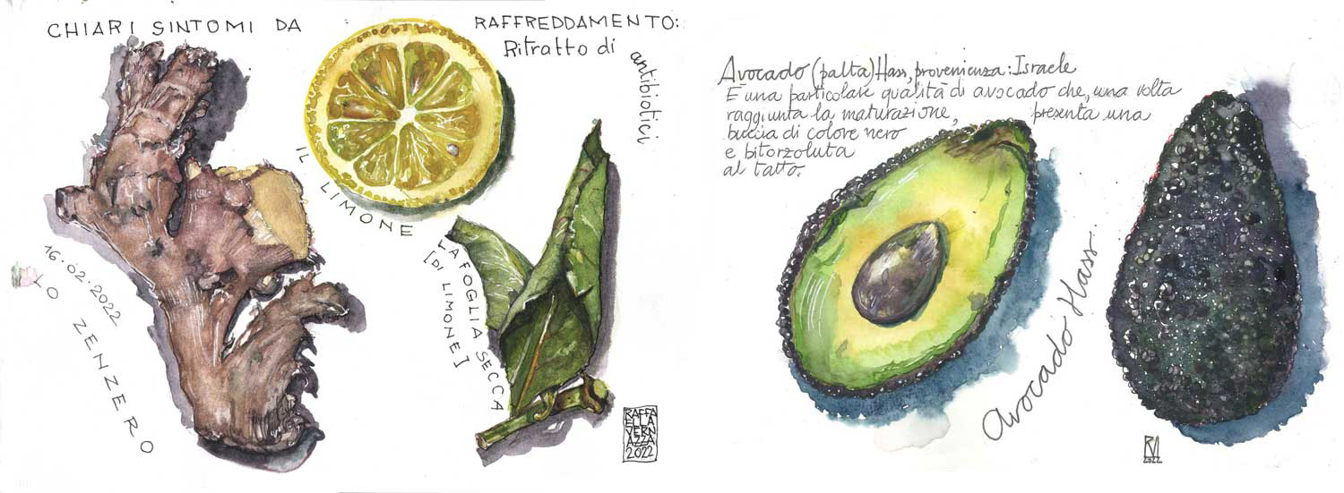 2022: Carnet botanico
