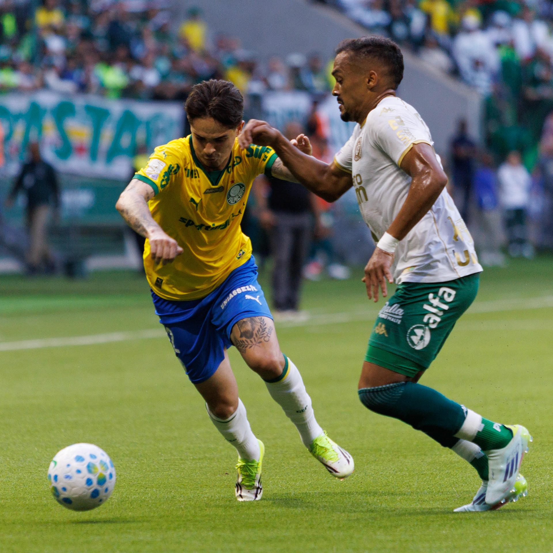 Palmeiras x Chapecoense, válida pelo campeonato brasileiro , série A 2026.