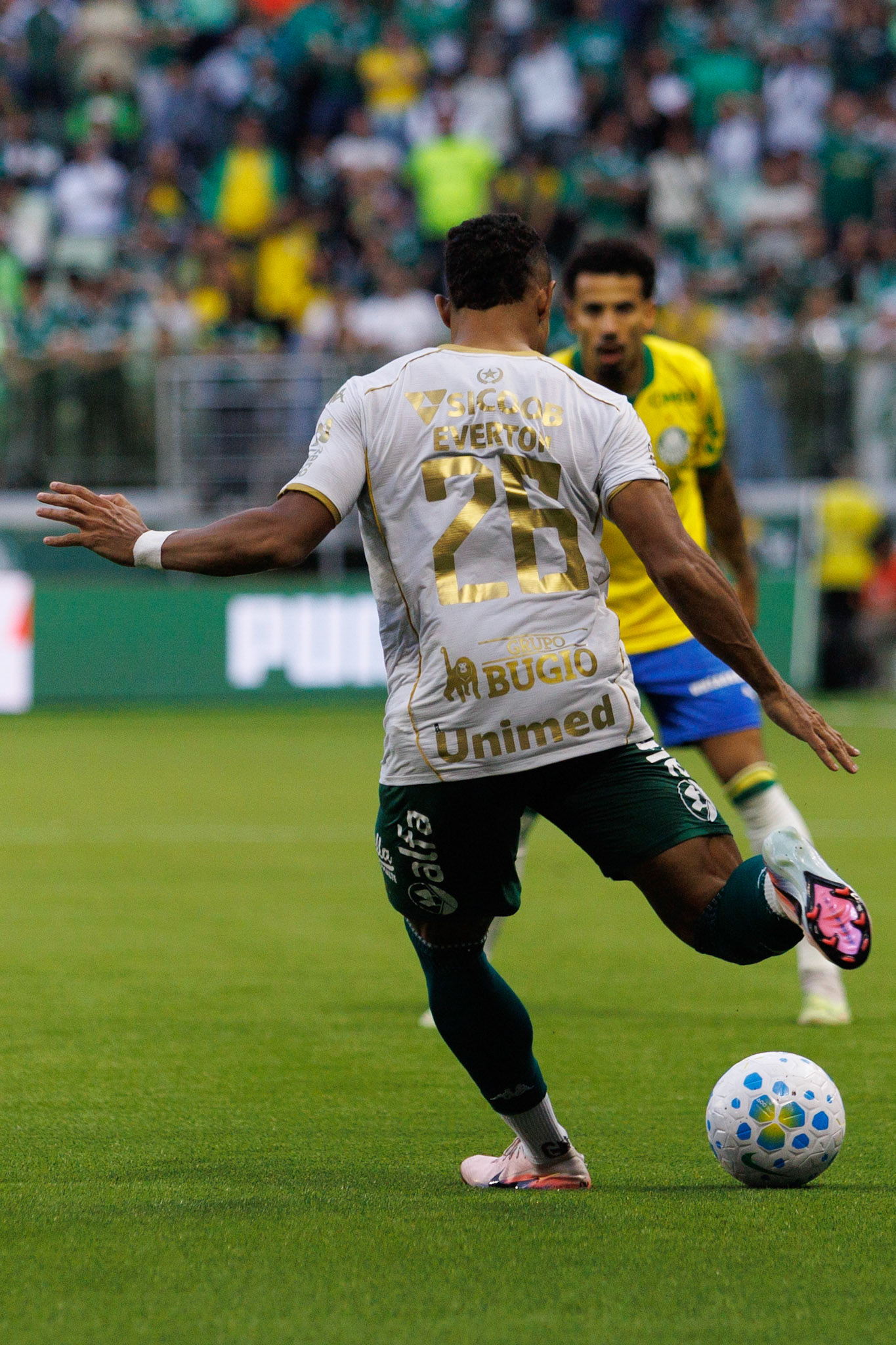 Palmeiras x Chapecoense, válida pelo campeonato brasileiro , série A 2026.