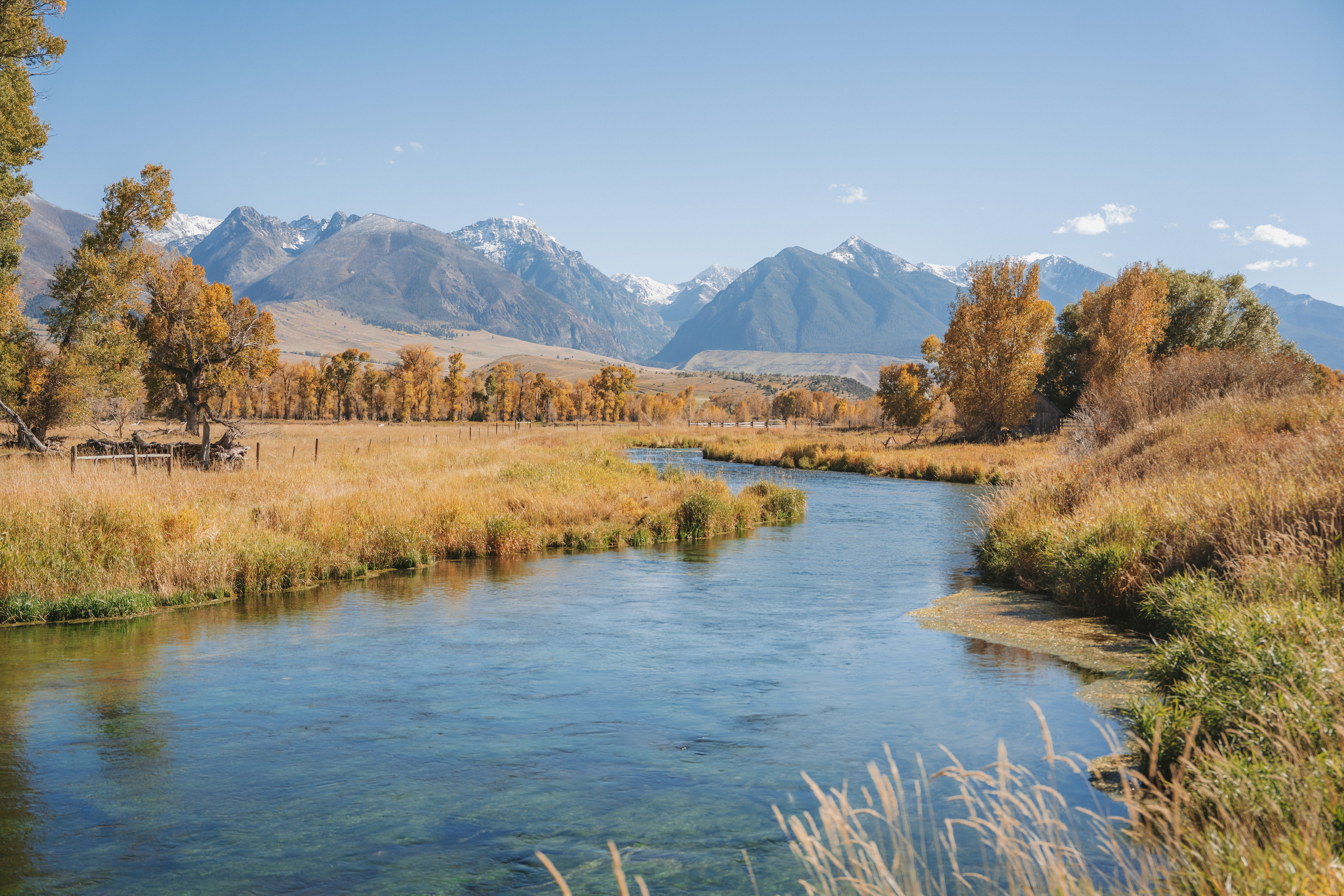 Depuy's Spring Creek, Livingston, MT