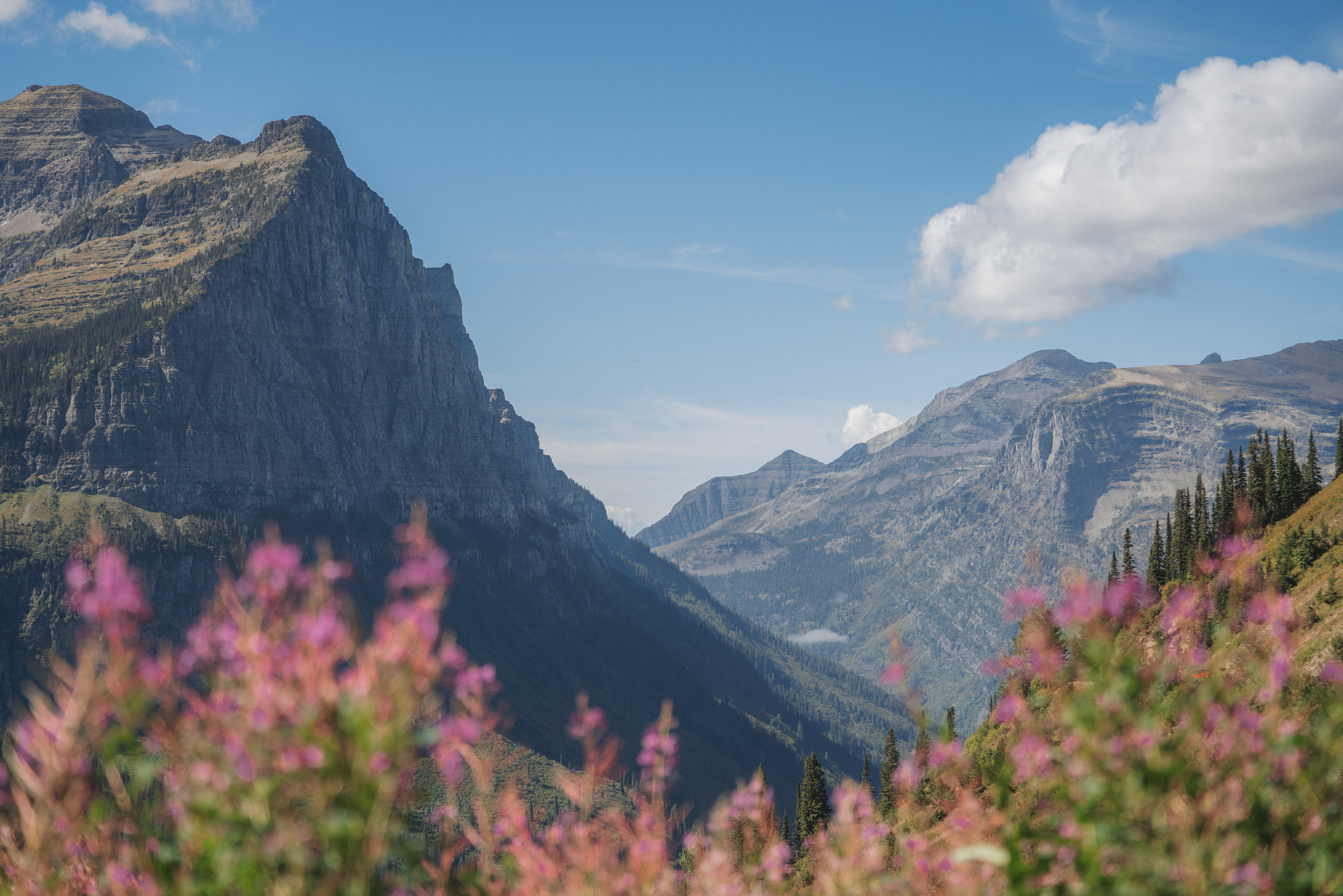 Glacier National Park
