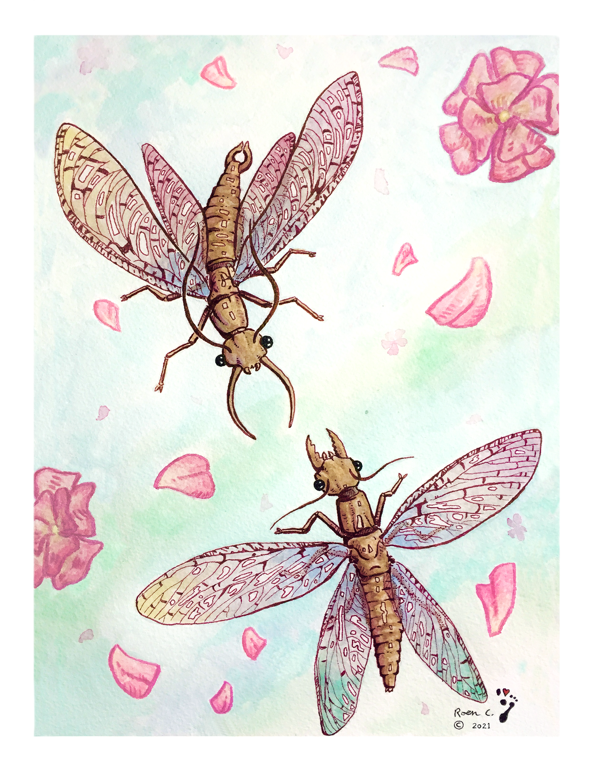"A Romantic pair of Dobsonflies" - 2021