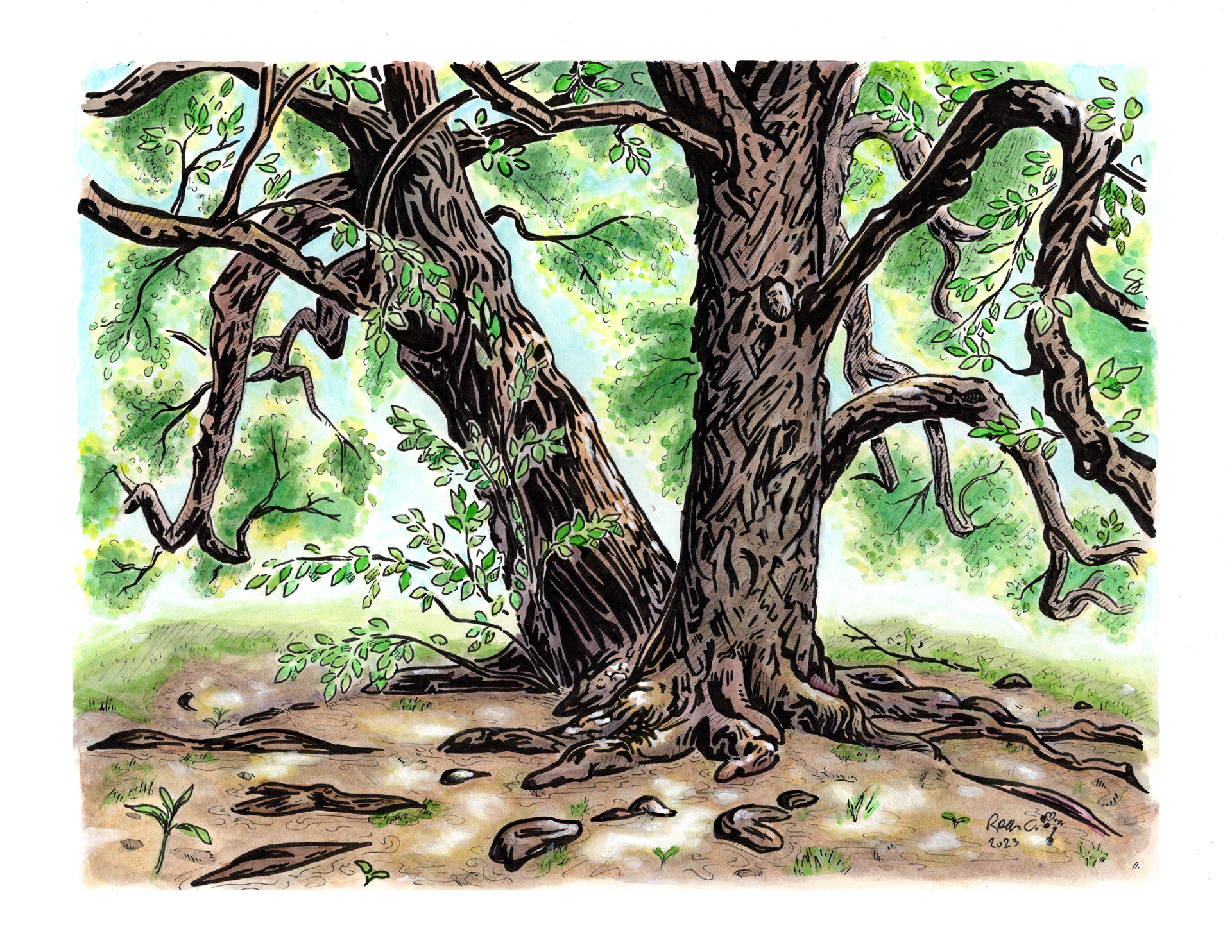 "Shaded Labyrinth" - 2023