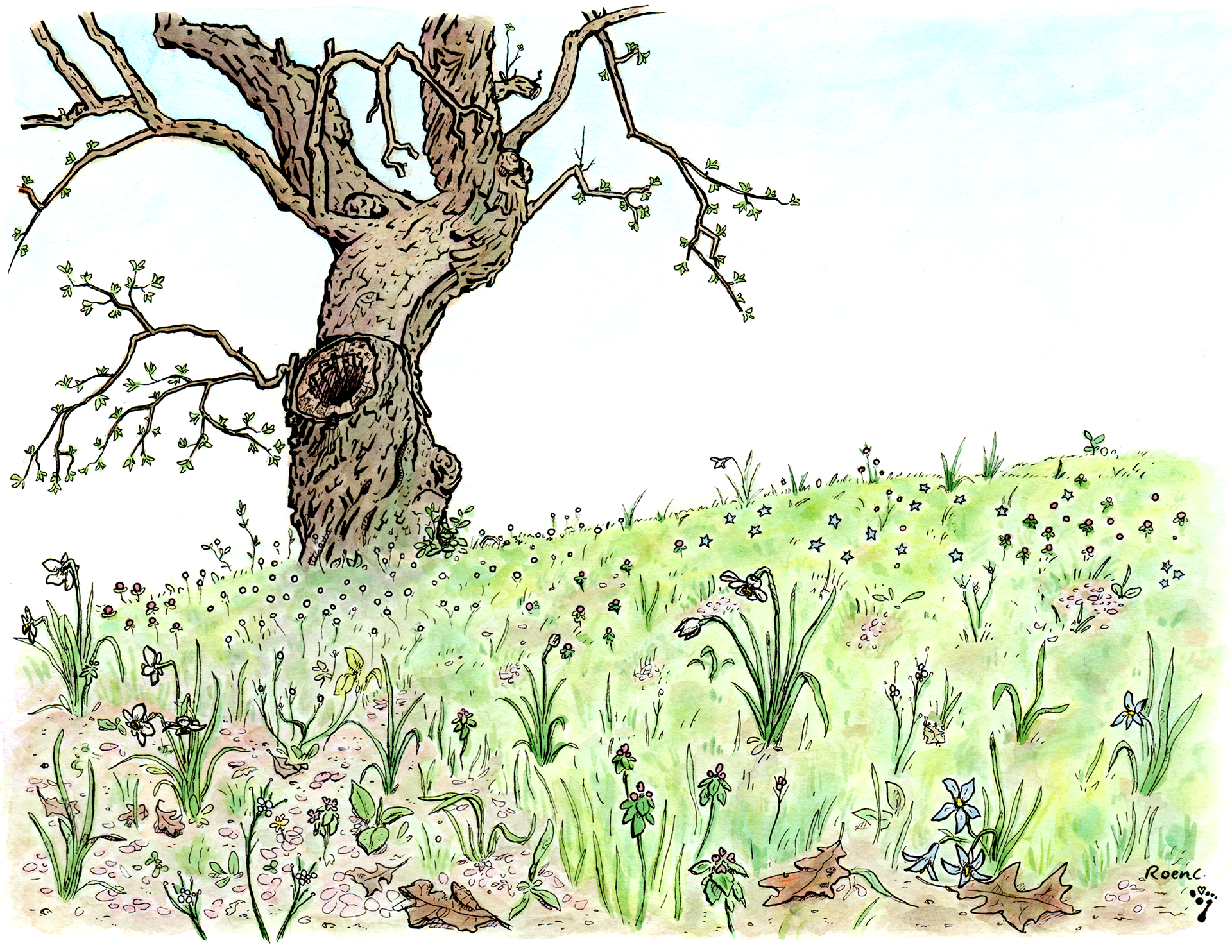 "Enduring Old Tree" - 2021