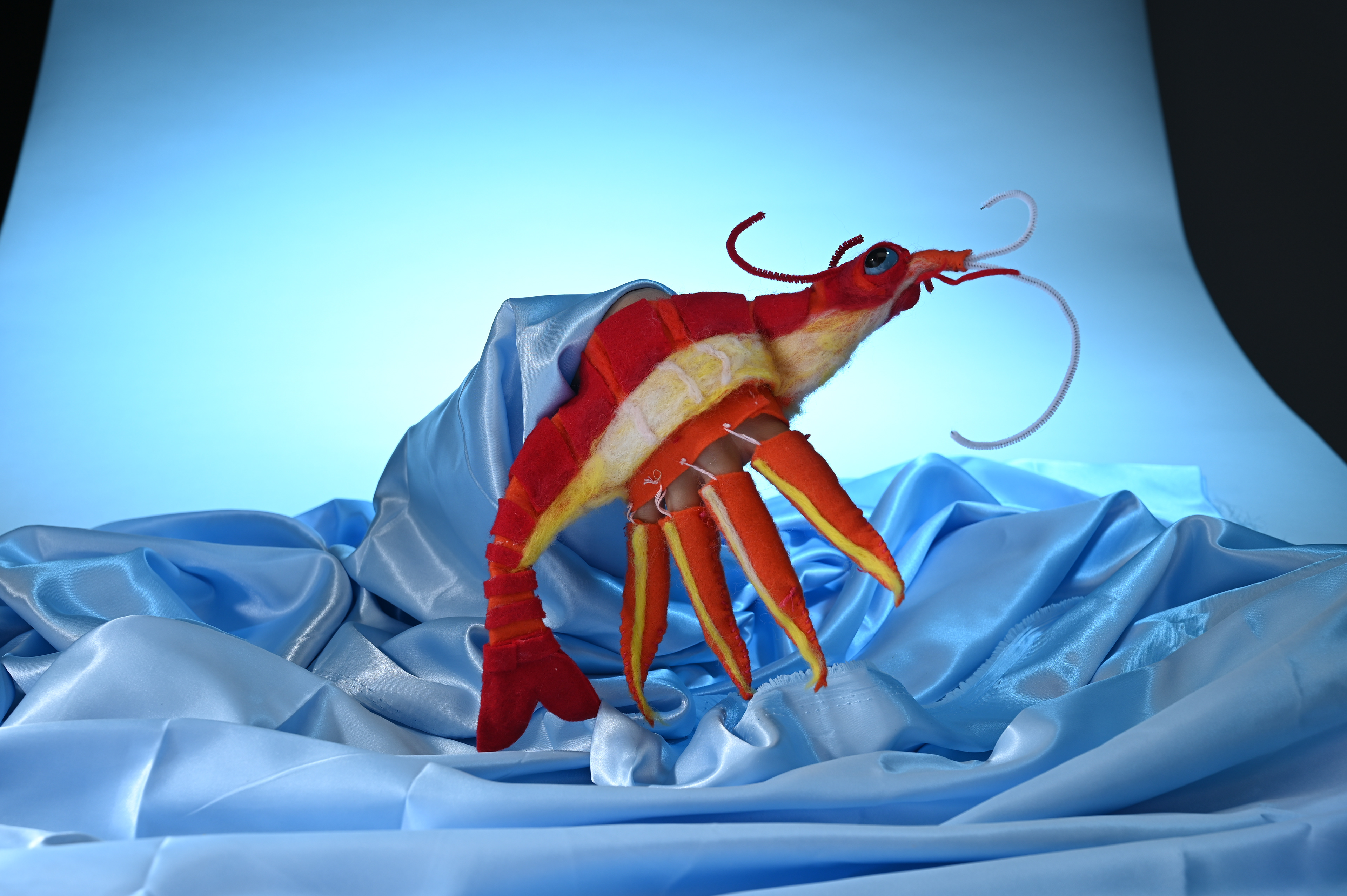 "Shrimp Waiter"