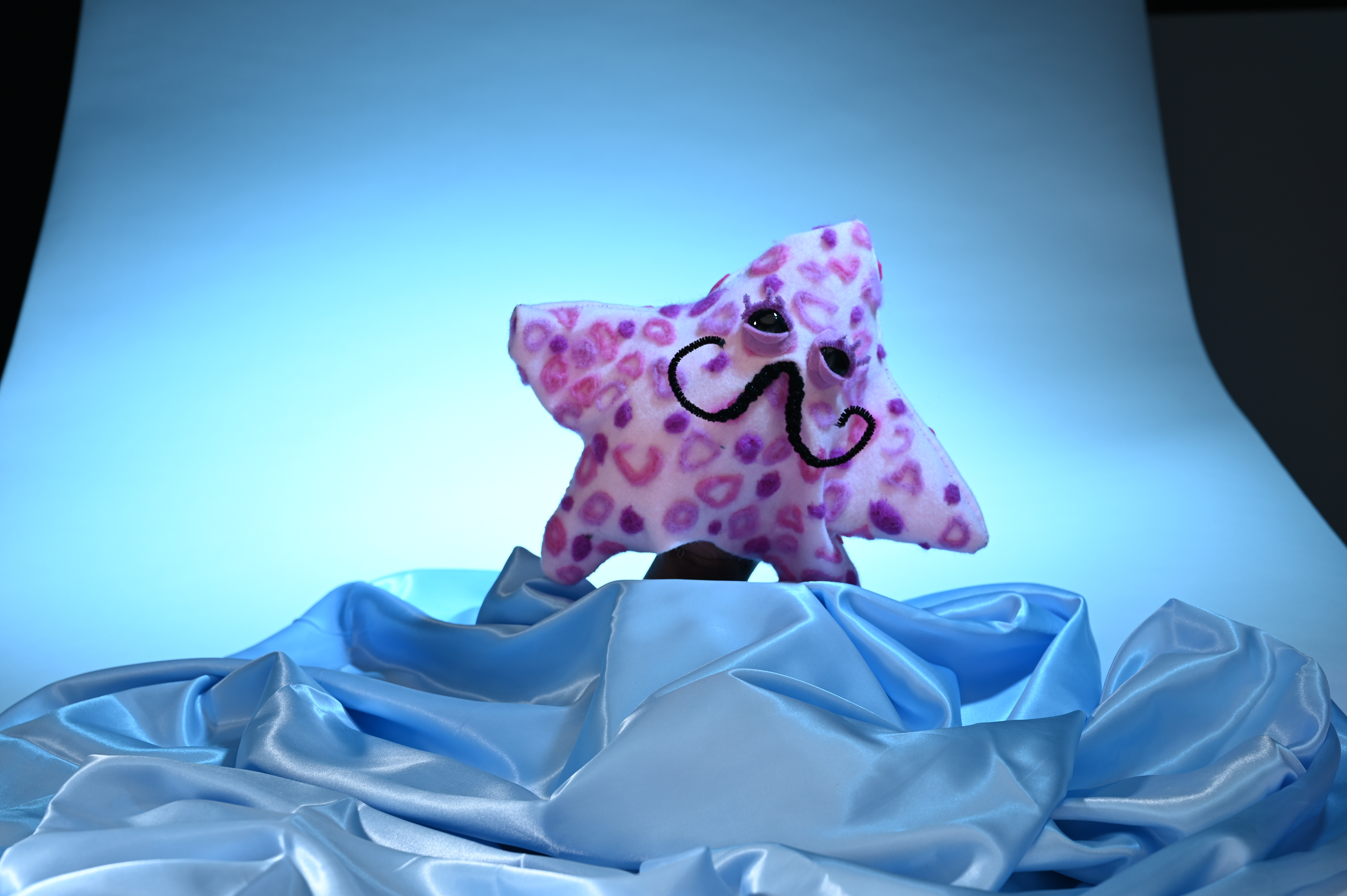 "Starfish Waiter"