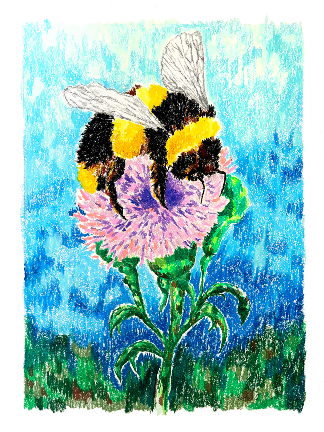 COLLECTIVE EXHIBITION • Insectes ! - 2025