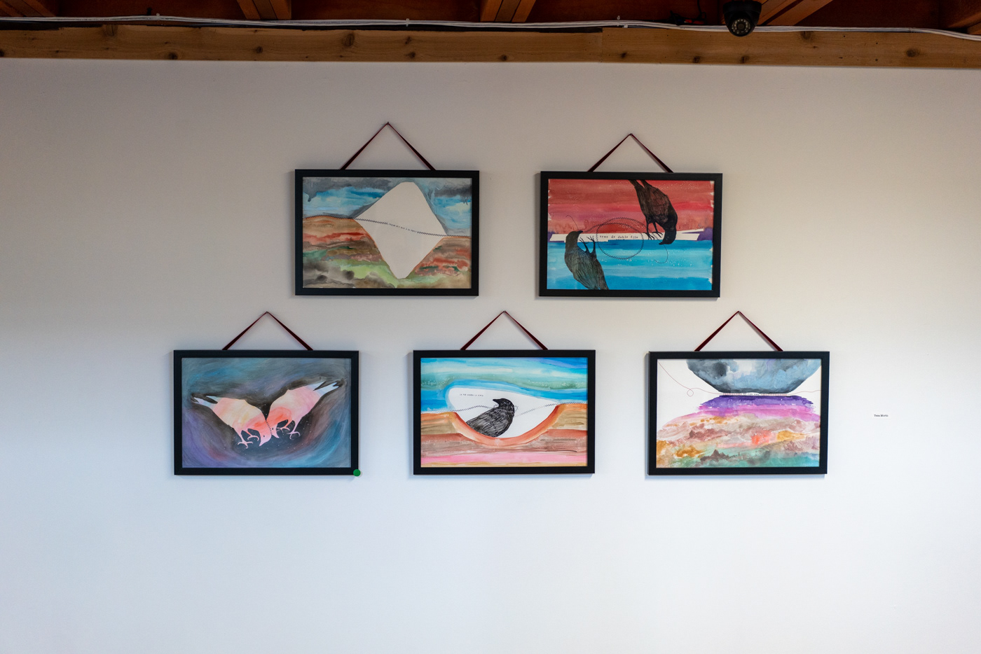 On display at the UNT CoLAB May 2022