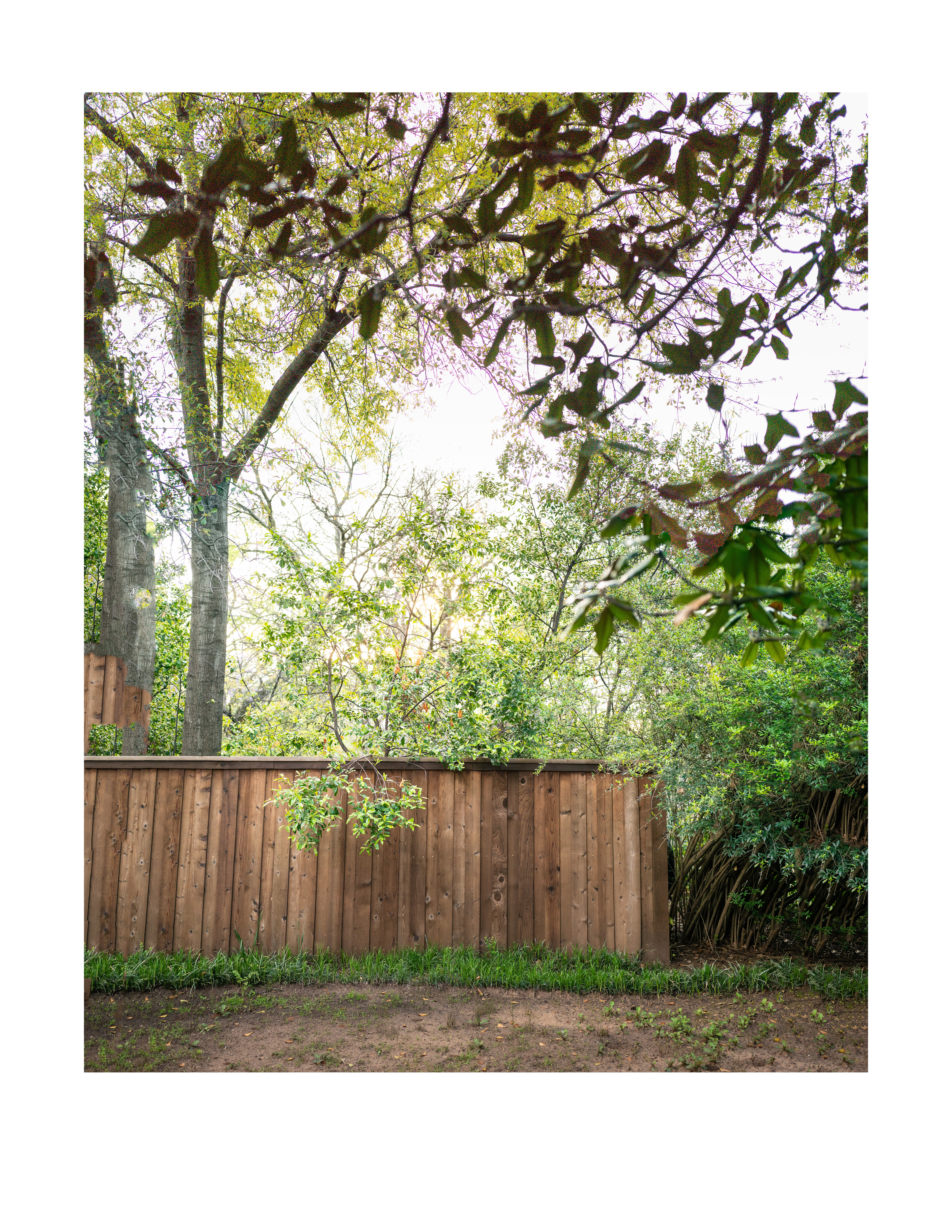 Cherrywood Lane 2024