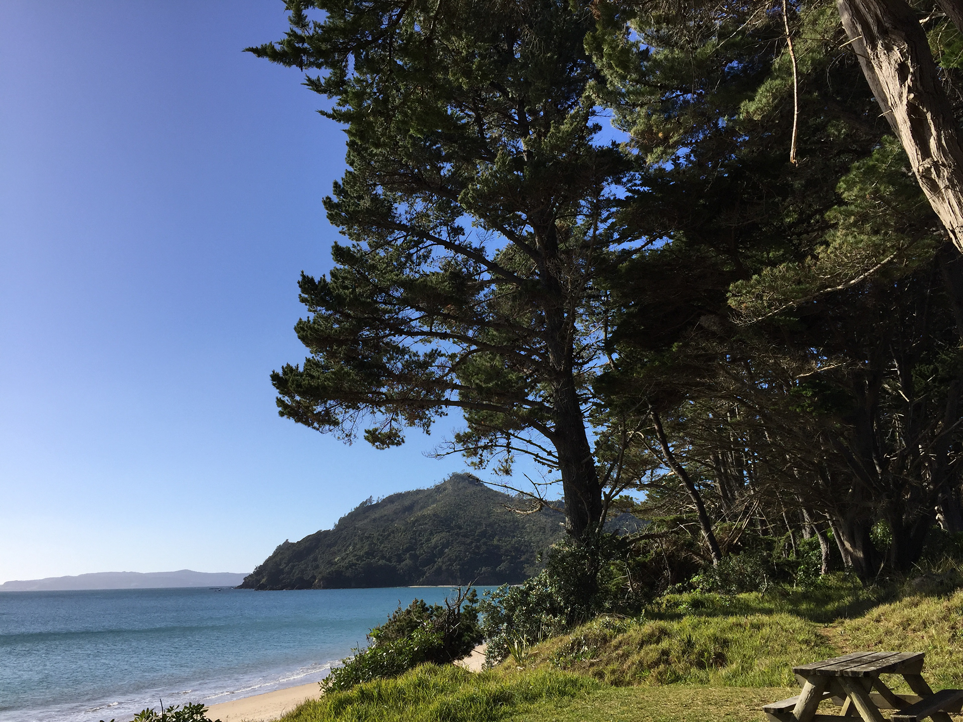 Kuaotunu - my first taste of the Coromandel