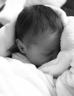 Creation No 1: Hektor 