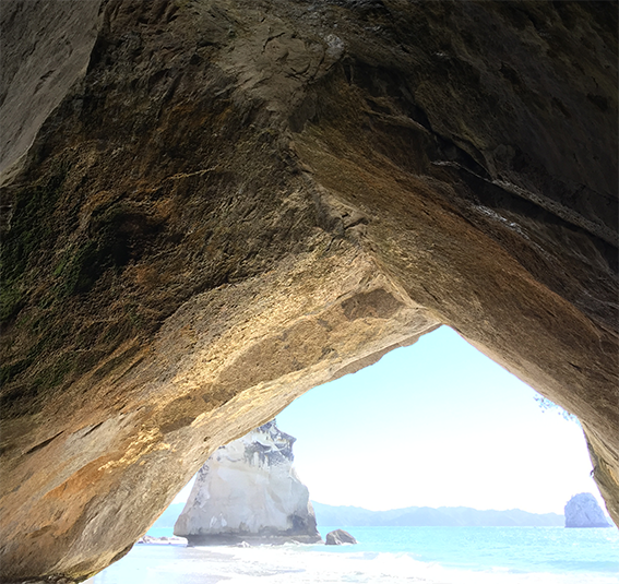 The beautiful sights of the Coromandel