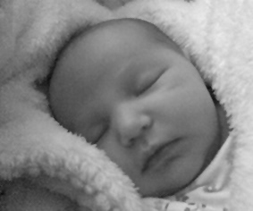 Creation No 2: Olympia 