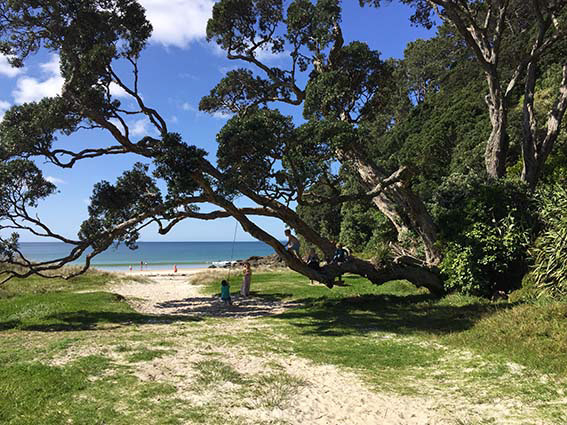 Nature is our playground