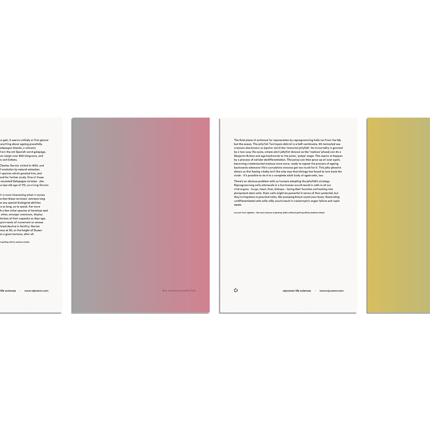 Leaflets about longevity for a biotech startup