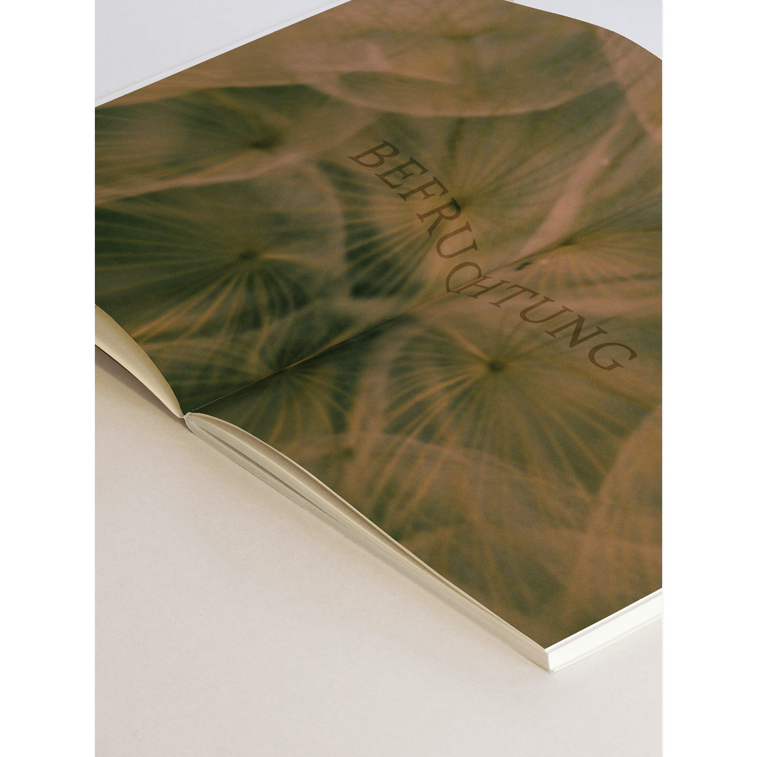 A spread of a magazine for a midwives' association