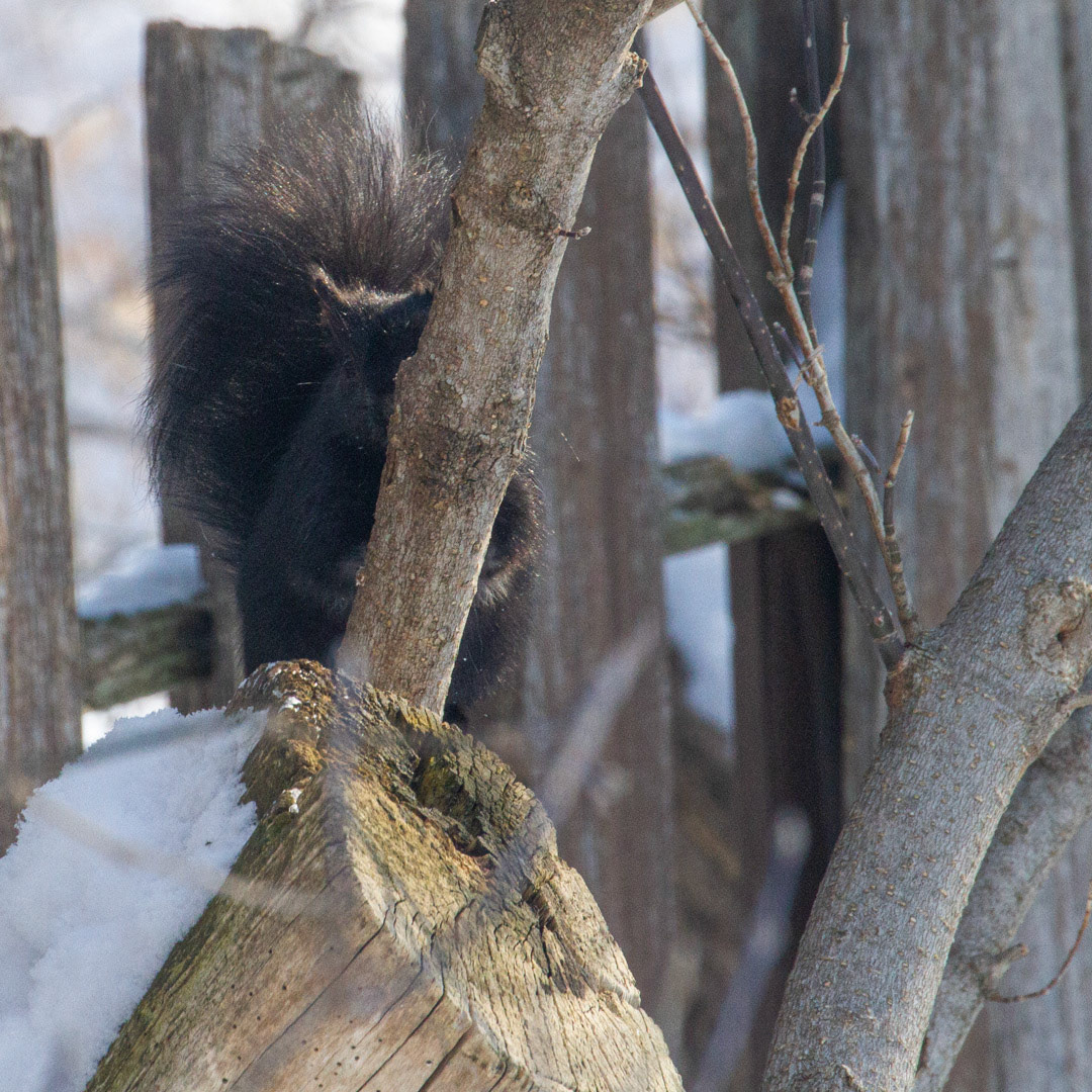 2021-02-21 Discovery