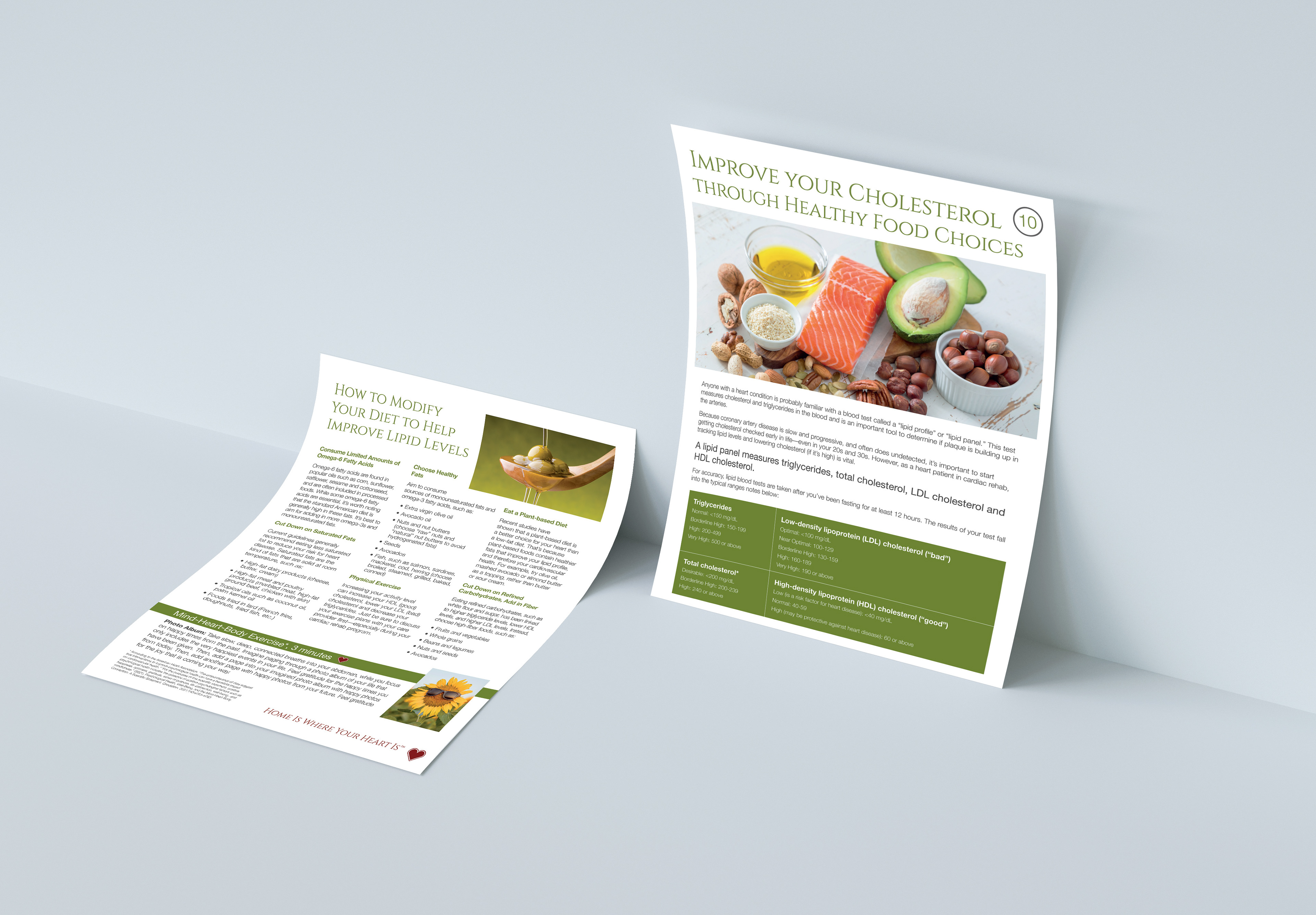 ROMTherapy post-surgery rehab educational brochure