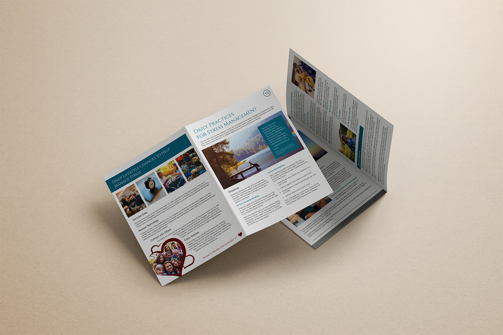 ROMTherapy post-surgery rehab educational brochure