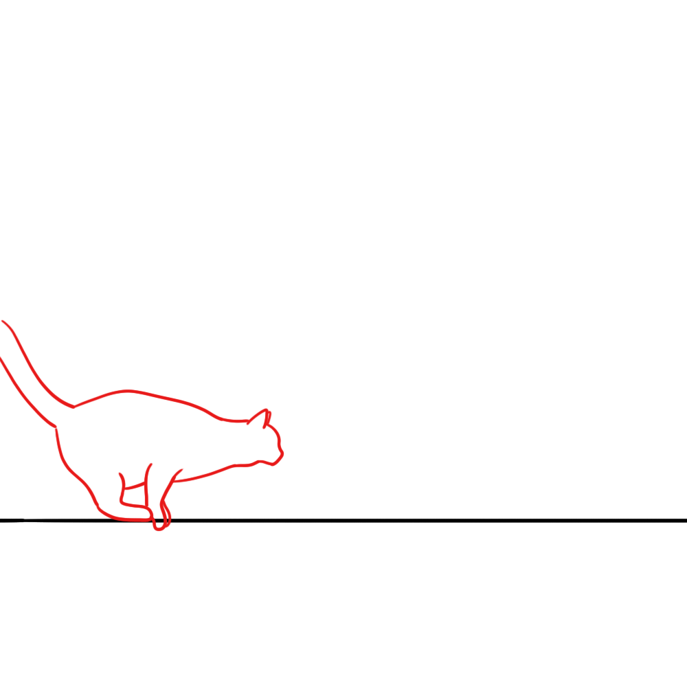 Cat Jump