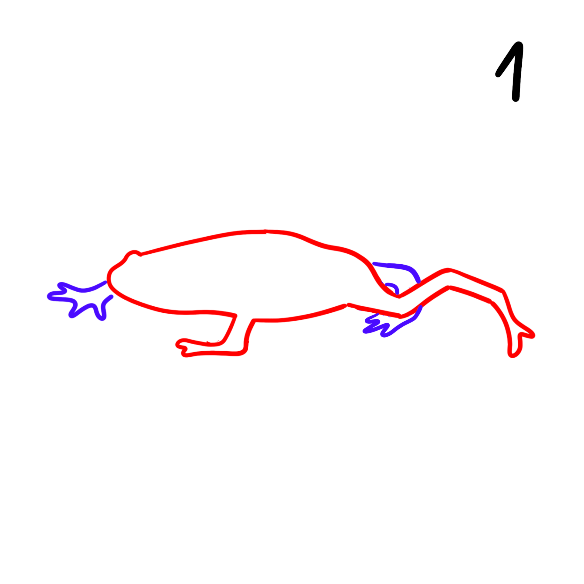Frog Walk