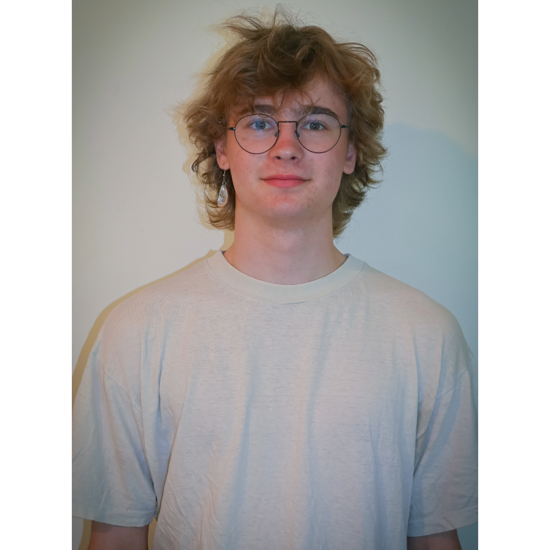 Mirko Schacht (Violinist und Flötist)