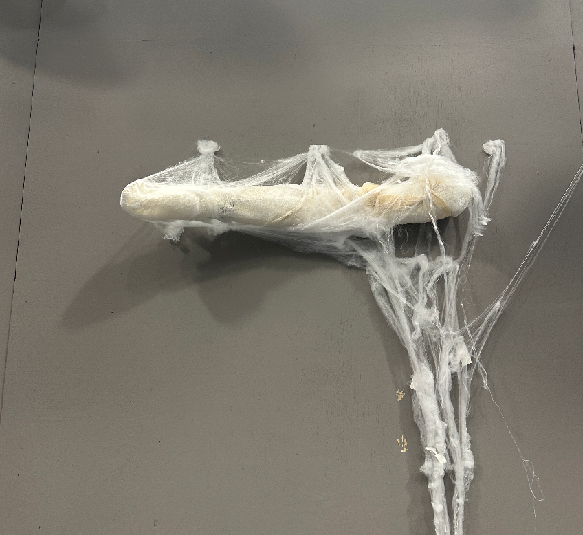 Mummy Arm in web - Through The Fog (2025)