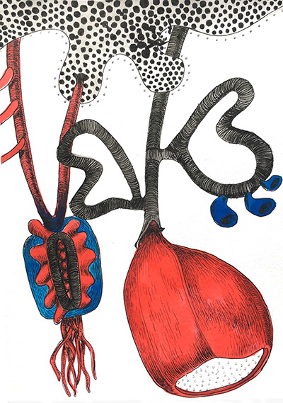 BOTANISCHE SZENEN, Folge 66