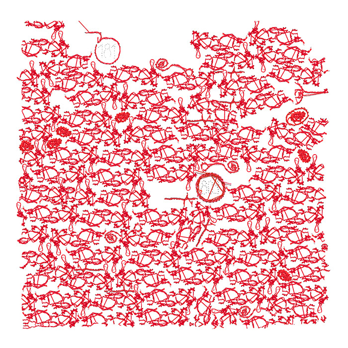 Digitale Stickerei, ROTE NETZE 5