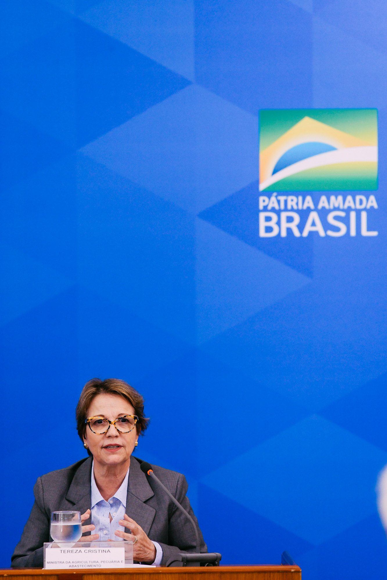 Coletiva de Imprensa no Palácio do Planalto sobre Covid-19, 04/04/2020.