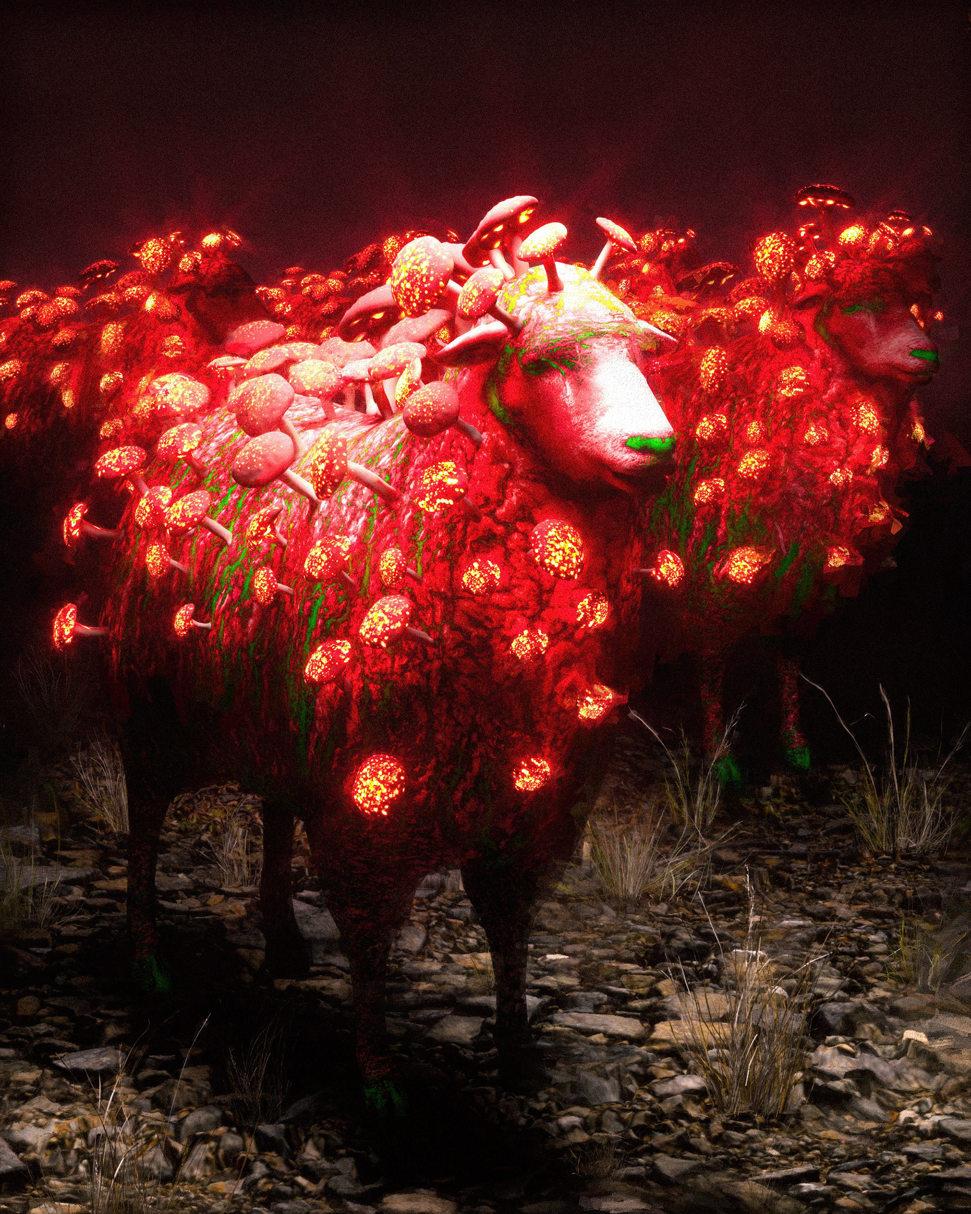 ๐๐ "Herd Immunity"
