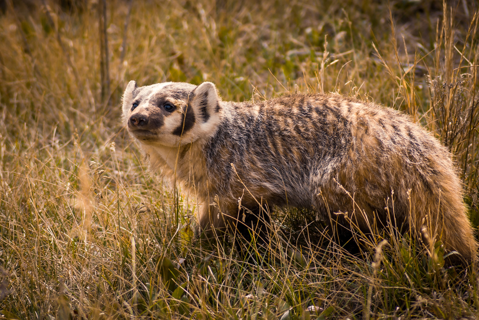 Red Rocks Wildlife Refuge, Montana