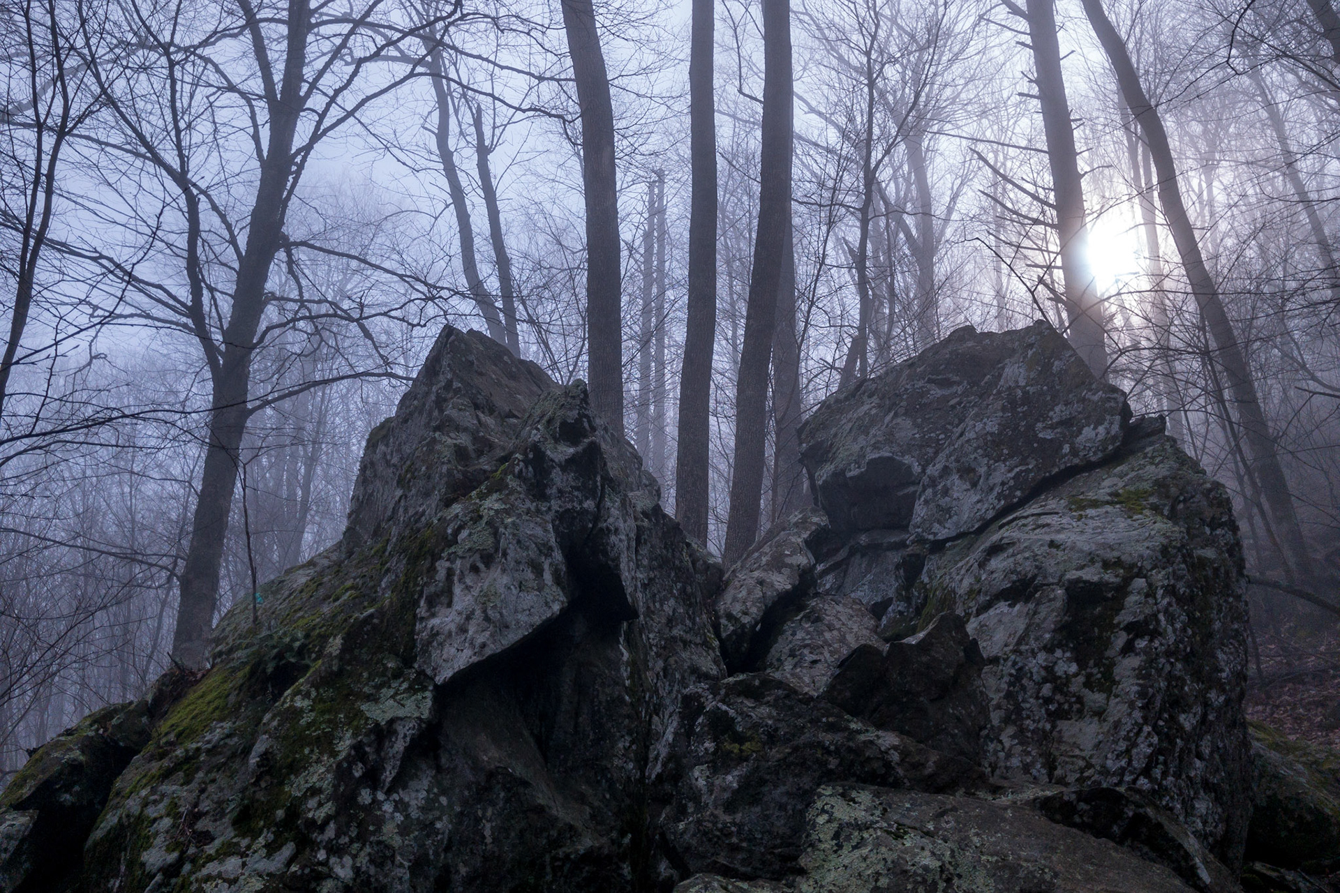SHENANDOAH NATIONAL PARK