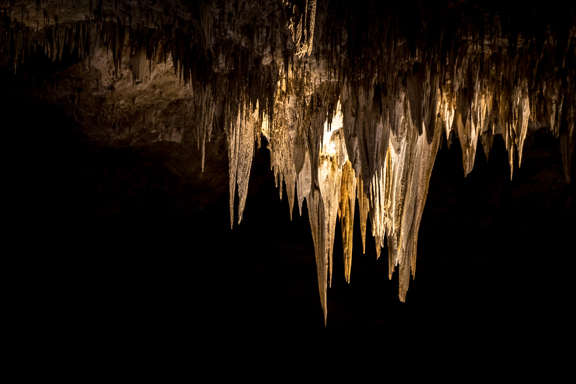 CARLSBAD CAVERNS NATIONAL PARK