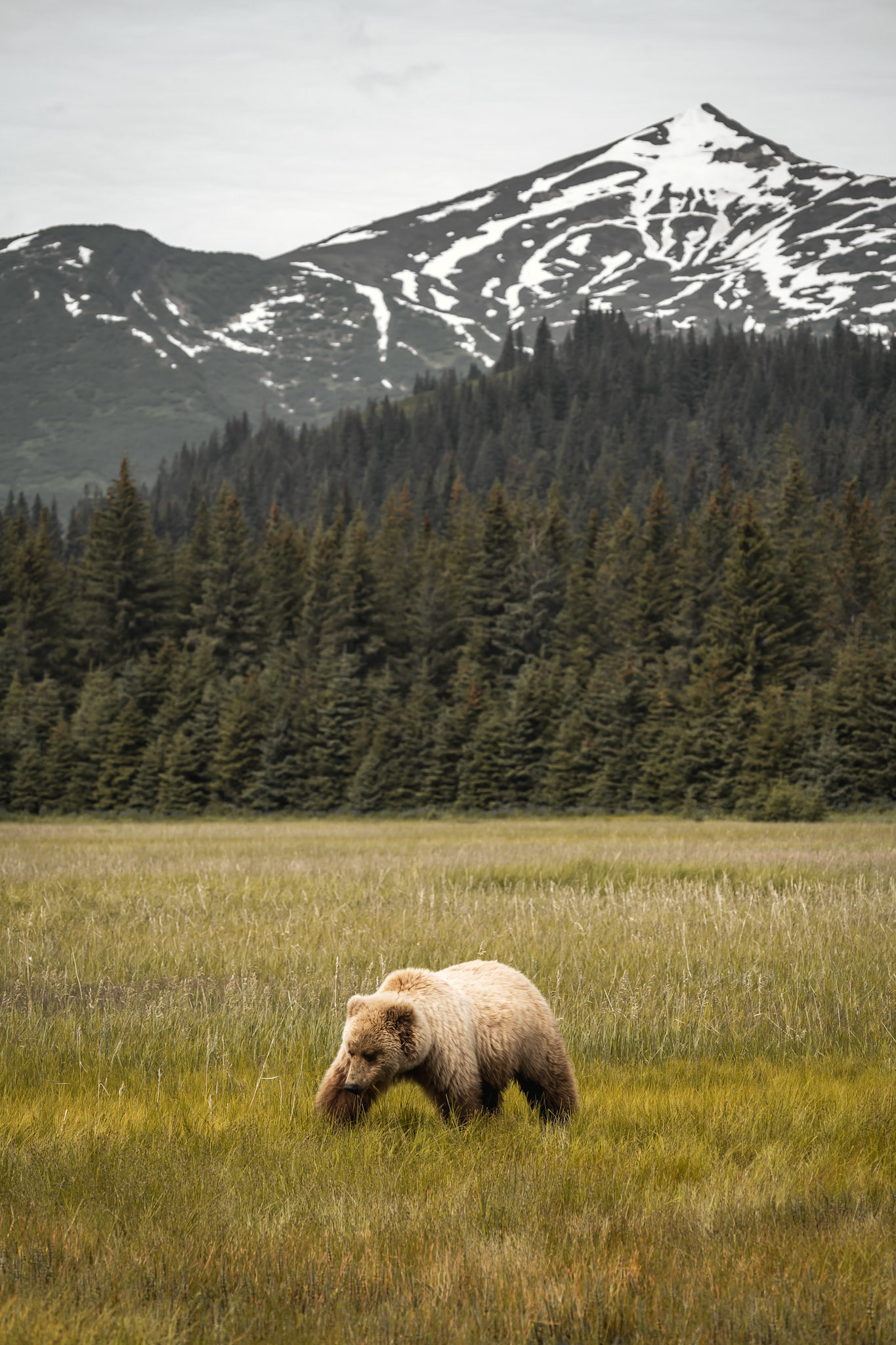Lake Clark National Park, Alaska