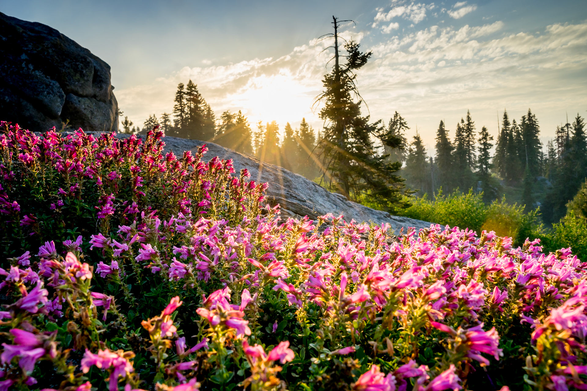 SEQUOIA NATIONAL PARK