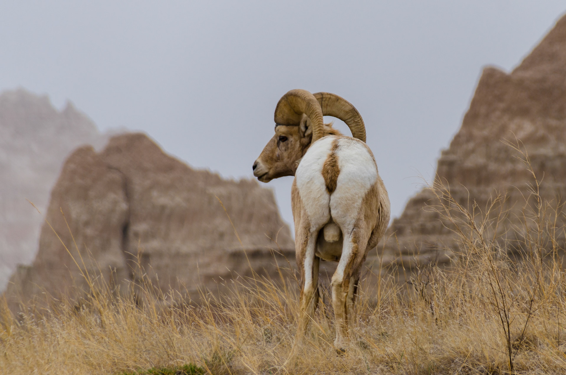 Badlands National Park, South Dakota