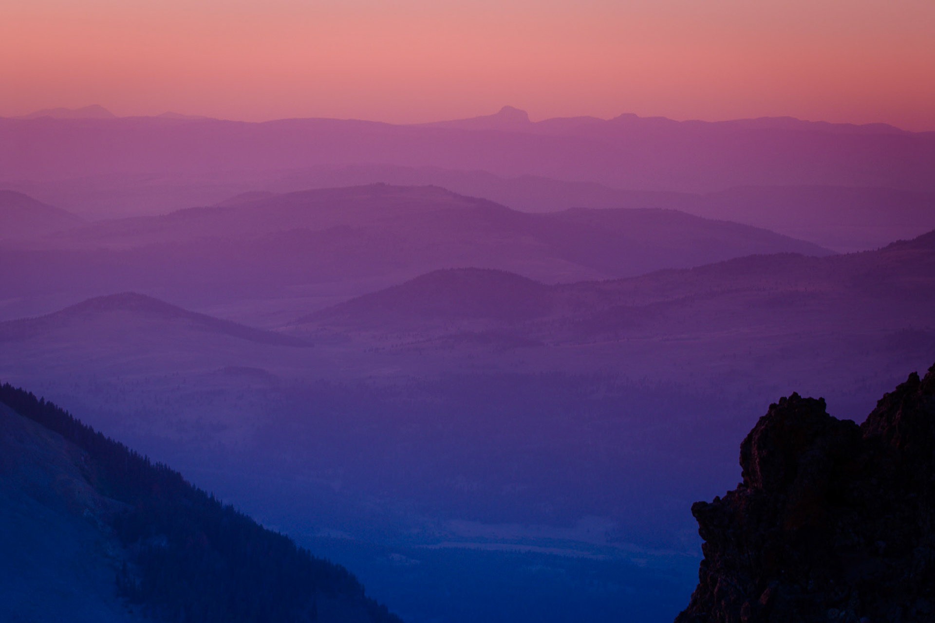 Targee National Forest