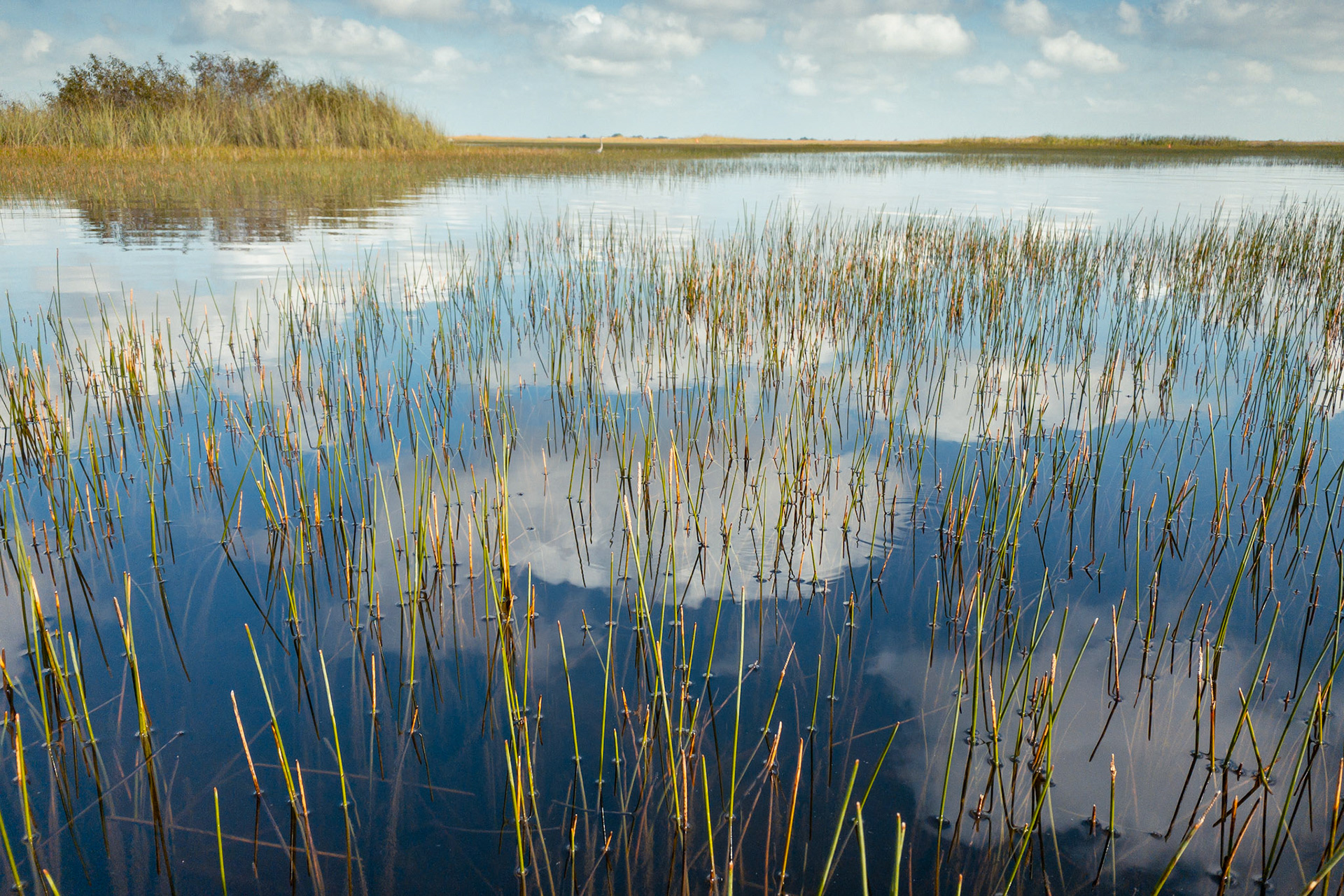 EVERGLADES NATIONAL PARK