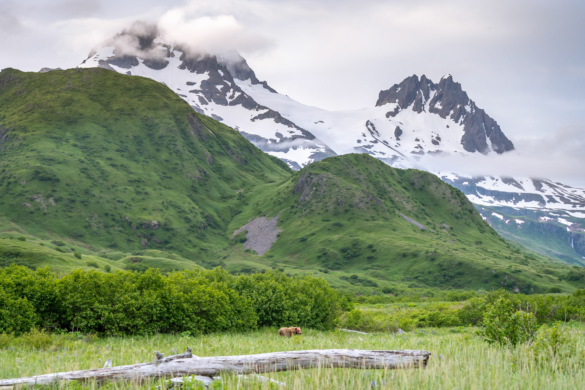 KATMAI NATIONAL PARK