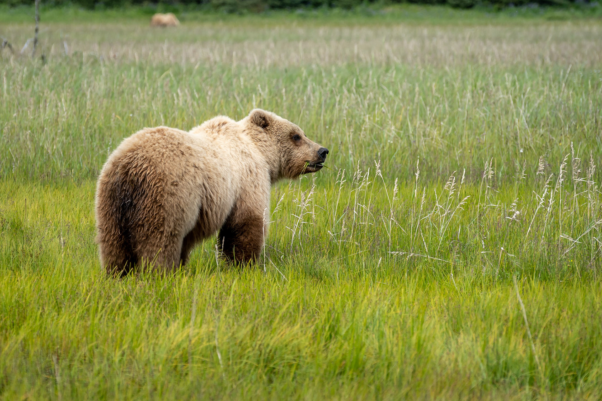 Lake Clark National Park, Alaska